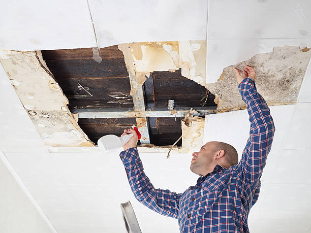 Best Emergency Mold Remediation  in Mukilteo, WA